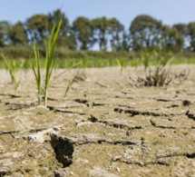 Afrique: publication d'une nouvelle boîte à outil pour éduquer les jeunes sur les impacts locaux du changement climatique Afrique: publication d'une nouvelle boîte à outil pour éduquer les jeunes sur les impacts locaux du changement climatique