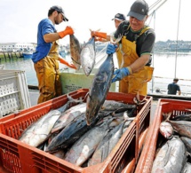 Pêche: les dirigeants africains invités à se montrer ferme dans ses négociations sur un nouvel accord avec l'union européenne Pêche: les dirigeants africains invités à se montrer ferme dans ses négociations sur un nouvel accord avec l'union européenne