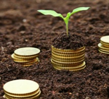 Union monétaire ouest africaine:  16.082.528 personnes ont bénéficié des services financiers fournis par les institutions de microfinance au 31 mars 2021 Union monétaire ouest africaine:  16.082.528 personnes ont bénéficié des services financiers fournis par les institutions de microfinance au 31 mars 2021