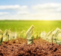 Afrique: lancement imminente d'une nouvelle initiative de la Bad visant à intégrer le capital naturel dans le financement du développement Afrique: lancement imminente d'une nouvelle initiative de la Bad visant à intégrer le capital naturel dans le financement du développement