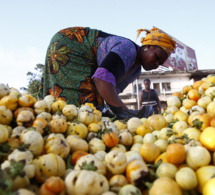 La Fao lance l’action mondiale liée à l’initiative un pays – un produit prioritaire. La Fao lance l’action mondiale liée à l’initiative un pays – un produit prioritaire.