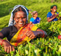 470 milliards de dollars des subventions agricoles nuisent à l’horizon 2030: l'onu appelle à la réorientation de ces incitations préjudiciables 470 milliards de dollars des subventions agricoles nuisent à l’horizon 2030: l'onu appelle à la réorientation de ces incitations préjudiciables