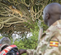 Tourisme de conservation en Afrique: comment  tirer parti de moyens alternatifs pour stimuler la reprise. Tourisme de conservation en Afrique: comment  tirer parti de moyens alternatifs pour stimuler la reprise.