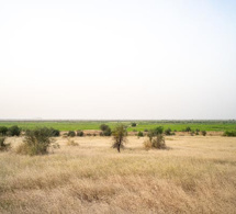 Burkina Faso : Africa REN lance la construction de la plus grande centrale solaire du pays Burkina Faso : Africa REN lance la construction de la plus grande centrale solaire du pays