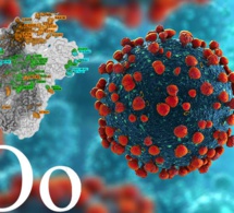 Adagio Therapeutics indique qu'aucune des mutations présentes dans Omicron, le variant du SARS-CoV-2, n'est associée à un échappement de la neutralisation de l'ADG20 in vitro Adagio Therapeutics indique qu'aucune des mutations présentes dans Omicron, le variant du SARS-CoV-2, n'est associée à un échappement de la neutralisation de l'ADG20 in vitro