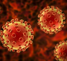 les investissements de protection contre les pandémies doivent  être maintenu contre «le prochain covid» les investissements de protection contre les pandémies doivent  être maintenu contre «le prochain covid»