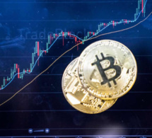 20 sociétés cotées avec une capitalisation boursière de plus de 1 000 milliards de dollars ont environ 9,6 milliards de dollars investis dans bitcoin