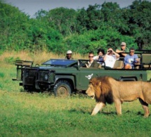visa to africa: instagram se met au service du tourisme africain