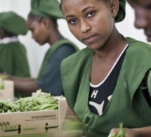 les femmes peuvent-elles bénéficier des emplois verts ?: réponse courte et conditionnelle de l'onu femme et de la banque africaine de développement les femmes peuvent-elles bénéficier des emplois verts ?: réponse courte et conditionnelle de l'onu femme et de la banque africaine de développement