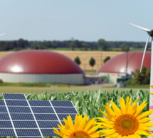 l'appel de l'afrique en faveur d'une transition énergétique juste et inclusive trouve une réponse