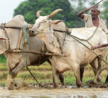 la croissance mondiale ralentira jusqu'en 2023, ajoutant au risque d'« atterrissage brutal » dans les économies en développement la croissance mondiale ralentira jusqu'en 2023, ajoutant au risque d'« atterrissage brutal » dans les économies en développement