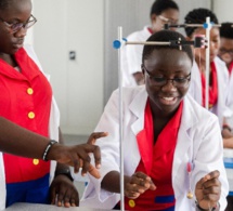 lancement de la 1ère édition de la foire internationale africaine: plus de 50 000 visiteurs attendus à paris