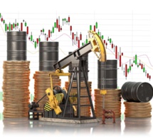 "nous devons parler de la crise énergétique en afrique : pourquoi la production diminue-t-elle ? son exploration, stupide "nous devons parler de la crise énergétique en afrique : pourquoi la production diminue-t-elle ? son exploration, stupide