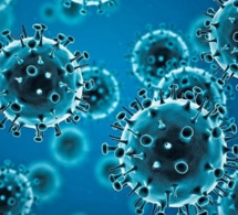 maria van kerkhove,  épidémiologiste des maladies infectieuses à l'oms: "covid19 évoluait toujours et le monde doit évoluer avec elle"