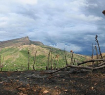 oliver griffith, ancien diplomate américain: "Il n'y a pas le temps de se disputer sur la façon de sauver les forêts"