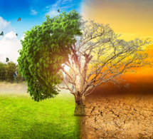 le rapport du groupe d'experts intergouvernemental sur l'évolution du climat souligne une aggravation des impacts climatiques.