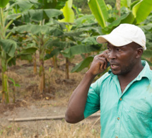 révolution numérique de l’agriculture africaine: un rapport de l’onu met en évidence les principaux obstacles et possibilités