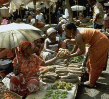 sécurité alimentaire mondiale: les nouveaux scénarios qui découlent du conflit russo-ukrainien sécurité alimentaire mondiale: les nouveaux scénarios qui découlent du conflit russo-ukrainien