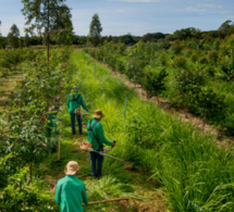 la Banque africaine de développement adopte une nouvelle politique sur le financement multi-tranches la Banque africaine de développement adopte une nouvelle politique sur le financement multi-tranches