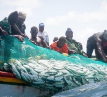 conseil présidentiel sur la pêche : greenpeace afrique rappelle au chef de l'état sénégalais, macky sall, sa promesse de 2021 conseil présidentiel sur la pêche : greenpeace afrique rappelle au chef de l'état sénégalais, macky sall, sa promesse de 2021