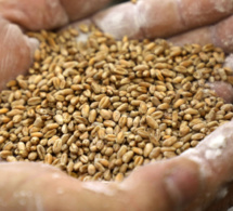 guerre en ukraine: l'onu lance le premier rapport du "global crisis response group" sur l'alimentation, l'énergie et la finance guerre en ukraine: l'onu lance le premier rapport du "global crisis response group" sur l'alimentation, l'énergie et la finance