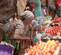 ralentissement de la croissance en afrique subsaharienne dans un contexte de choc économique renouvelé