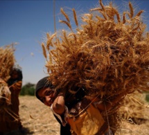 l'afrique ressent les effets de la guerre en ukraine l'afrique ressent les effets de la guerre en ukraine