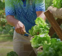 l’application pour smartphone qui aide les fidjiens à acquérir de saines habitudes alimentaires