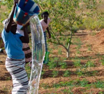 l'afrique est-elle prête pour la croissance verte ? un nouveau rapport évalue le gabon, le kenya, le maroc, le mozambique, le rwanda, le sénégal et la tunisie l'afrique est-elle prête pour la croissance verte ? un nouveau rapport évalue le gabon, le kenya, le maroc, le mozambique, le rwanda, le sénégal et la tunisie