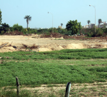 sénégal : 29000 hectares de terre restaurés dans la zone des niayes et dans le cadre de la grande muraille verte sénégal : 29000 hectares de terre restaurés dans la zone des niayes et dans le cadre de la grande muraille verte
