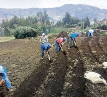 crises alimentaires, pour une réponse efficace et solidaire aux conséquences de la guerre en Ukraine crises alimentaires, pour une réponse efficace et solidaire aux conséquences de la guerre en Ukraine