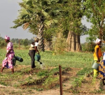 entrepreneuriat féminin au sénégal : les défis de l’école de la dirigeante entrepreneuriat féminin au sénégal : les défis de l’école de la dirigeante