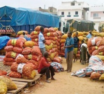 sénégal : la reprise économique fortement perturbée par la flambée des prix mondiaux du carburant et des denrées alimentaires et le gel des échanges avec le mali sénégal : la reprise économique fortement perturbée par la flambée des prix mondiaux du carburant et des denrées alimentaires et le gel des échanges avec le mali