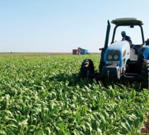 financement des campagnes de production agricole 2022 au sénégal : des concours bancaires d'un montant de plus de 40 milliards fcfa mis en place par la banque agricole et la bnde financement des campagnes de production agricole 2022 au sénégal : des concours bancaires d'un montant de plus de 40 milliards fcfa mis en place par la banque agricole et la bnde