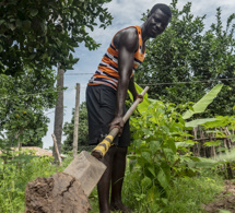 comprendre l'initiative internationale food et agriculture resilience mission pour la sécurité alimentaire des pays les plus vulnérables