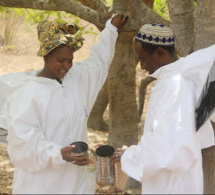 égaux devant les abeilles égaux devant les abeilles