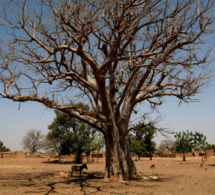 écologistes de casamance, du fouta et de la mauritanie ensemble contre l’avancée du désert