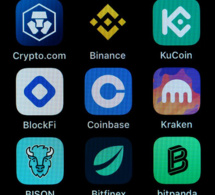 la bonne et la mauvaise nouvelle des cryptomonnaies en forte augmentation en afrique