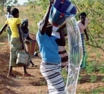 climat : sept pays africains dont le sénégal sur la voie de la croissance verte