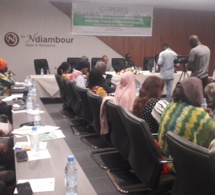 sénégal : fort risque d’une application difficile du nouveau code de l’électricité sénégal : fort risque d’une application difficile du nouveau code de l’électricité