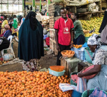 un professeur d'université de pretoria dénonce la domination du dollar américain sur le système financier mondial un professeur d'université de pretoria dénonce la domination du dollar américain sur le système financier mondial