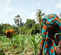 le financement de l’adaptation a augmenté à plus de 19 milliards de dollars en 2021