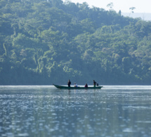 en préambule à la journée dédiée à l'énergie de la cop27, les forêts africaines dans la ligne de mire de l'expansion du pétrole et du gaz : une menace pour les écosystèmes et les communautés du monde entier en préambule à la journée dédiée à l'énergie de la cop27, les forêts africaines dans la ligne de mire de l'expansion du pétrole et du gaz : une menace pour les écosystèmes et les communautés du monde entier