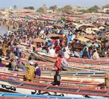 politiques publiques au sénégal : persistance des difficultés sur l'axe transformation structurelle de l'économie et croissance