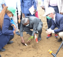 projet bacasi au congo : totalenergies répond à mediapart, sky news, greenpeace uk et source material projet bacasi au congo : totalenergies répond à mediapart, sky news, greenpeace uk et source material