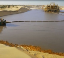 zone des niayes, tivaouane, thiès : l’horticulture sous la menace de l’agrobusiness et des sociétés minières zone des niayes, tivaouane, thiès : l’horticulture sous la menace de l’agrobusiness et des sociétés minières