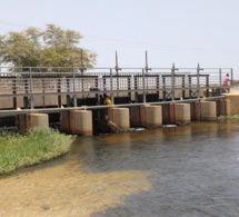 accès à l’eau dans la zone du ferlo : 156 milliards de l'Etat sénégalais pour la première phase du projet de renforcement de la résilience des ecosystèmes -preferlo