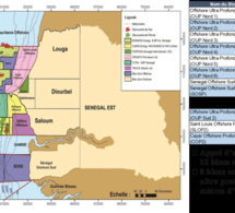 seule une offre reçue de l’appel d’offres international sur douze blocs pétroliers libres : les compagnies sont-elles réticentes à l’invitation de petrosen ? seule une offre reçue de l’appel d’offres international sur douze blocs pétroliers libres : les compagnies sont-elles réticentes à l’invitation de petrosen ?