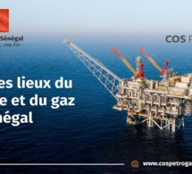 hydrocarbures, sénégal : le cos-petrogaz invité à faire l'état des lieux des projets pétroliers et gaziers et leurs impacts hydrocarbures, sénégal : le cos-petrogaz invité à faire l'état des lieux des projets pétroliers et gaziers et leurs impacts