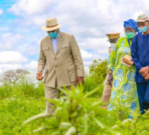 souveraineté alimentaire : le nouveau document de la stratégie remis au gouvernement sénégalais souveraineté alimentaire : le nouveau document de la stratégie remis au gouvernement sénégalais